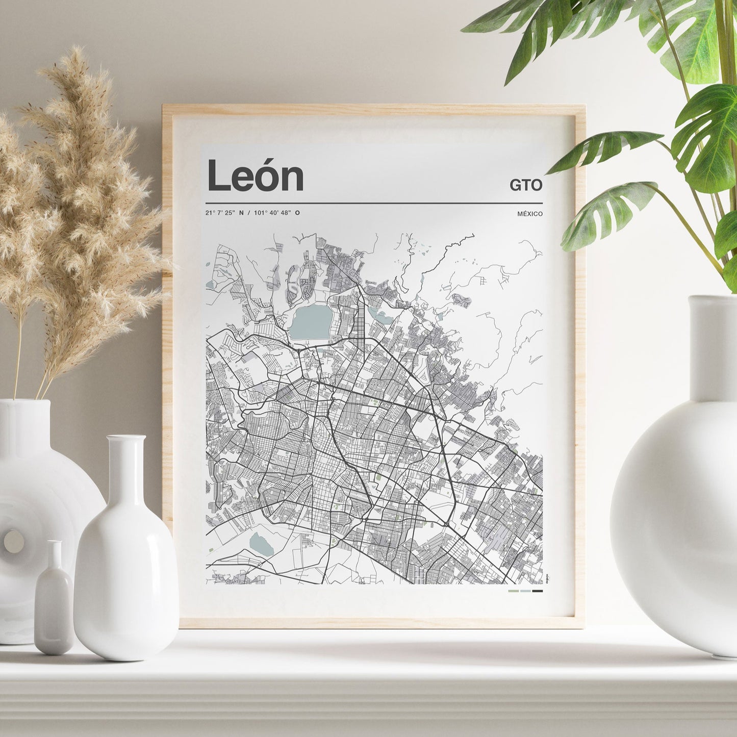 León en Perspectiva