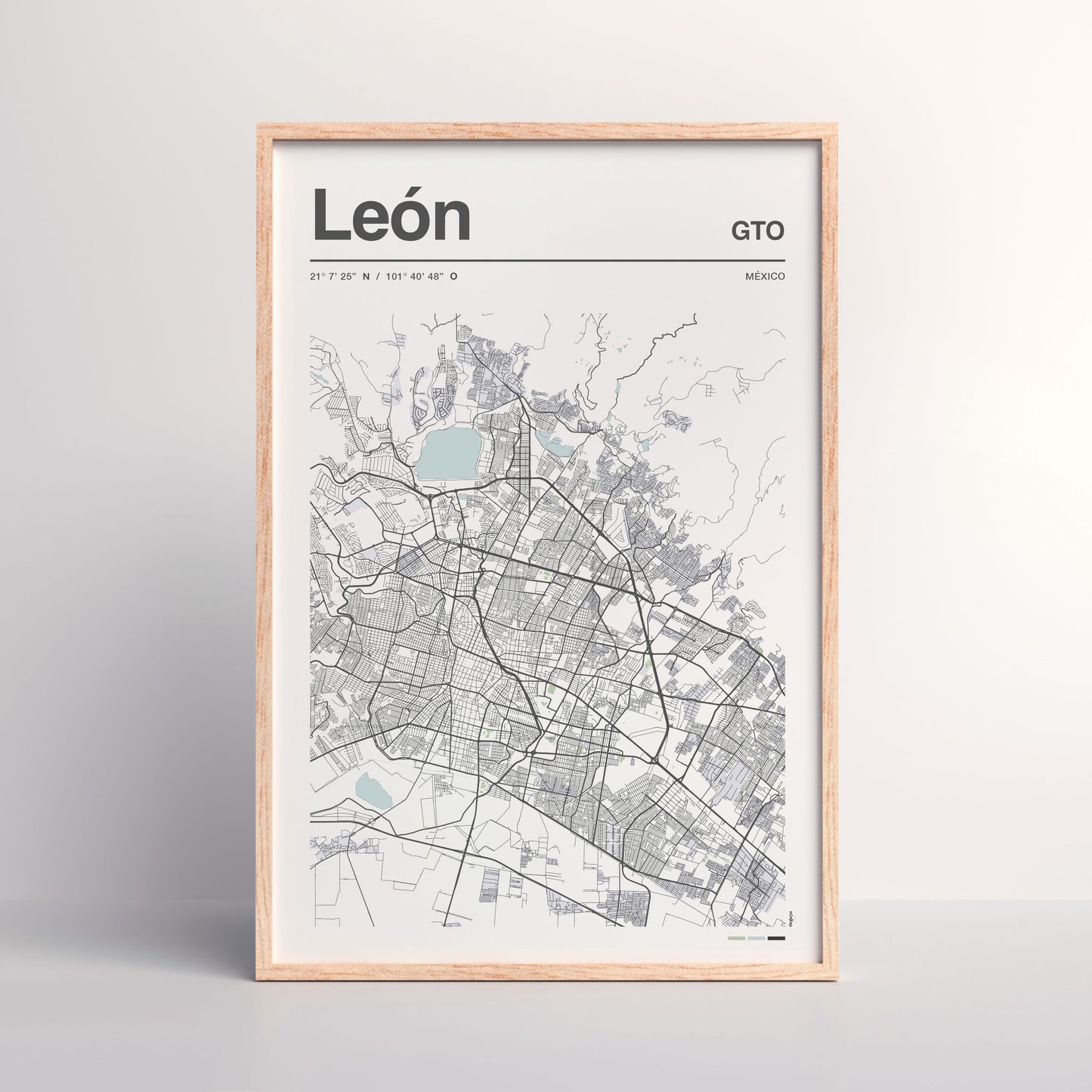 León en Perspectiva