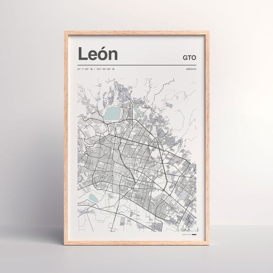 León en Perspectiva