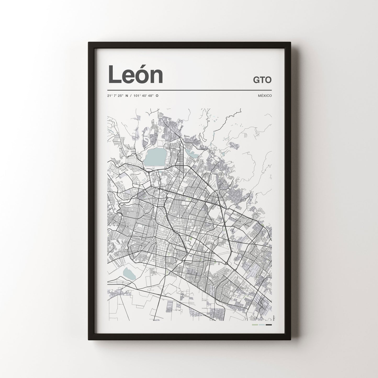 León en Perspectiva
